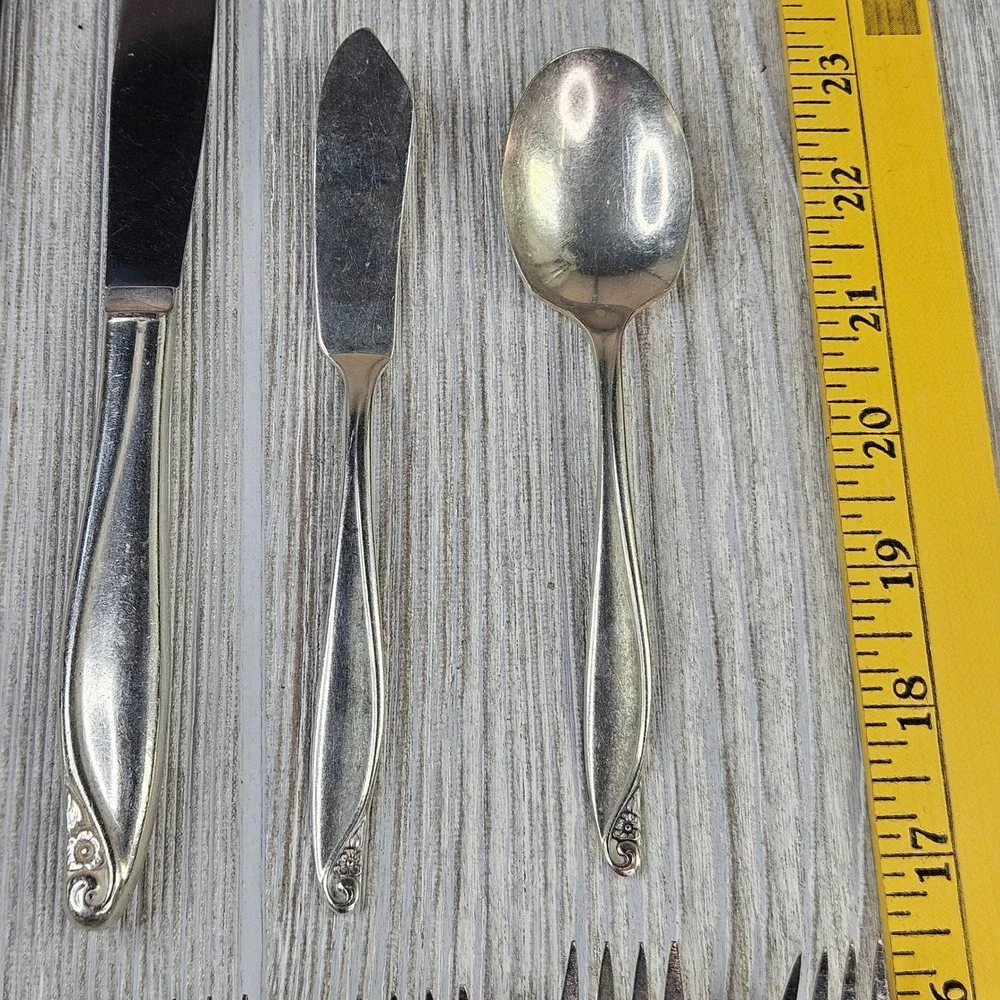 Wm. A. Rogers Oneida Flowertime Silver Overlaid Flatware Set 50 Pieces Vintage